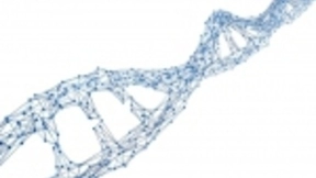 CRISPR的科学家声称他的研究小组已经培育出了世界上第一批基因编辑的婴儿