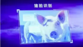3E消费电子展:BAT“造车“,京东“养猪“,人工智能细分产业迎来发展机遇