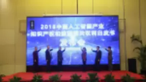 中国人工智能产业知识产权白皮书正式发布