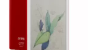 “读书人”的世界不再止于水墨屏！科大讯飞发布全球首款彩色电子阅读器