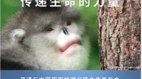 高通跨界合作践行科技服务公益使命 合作传递生命之美