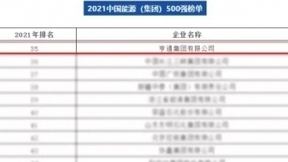 第35位！亨通荣登2021中国能源（集团）500强