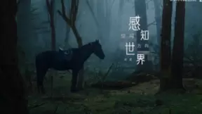 跨步切入自动驾驶赛道，大疆的资本是什么？