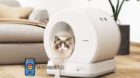人形机器人独角兽入局千亿宠物智能赛道