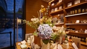 用松下LUMIX S 18mm F1.8 镜头街拍，感受广角镜头的乐趣