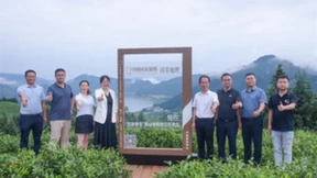 瓦屋春雪高山有机老川茶茶园——“中国最美茶山”金框揭幕