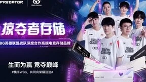 恭贺掠夺者存储深度合作伙伴WBG震撼晋级S13 四强！