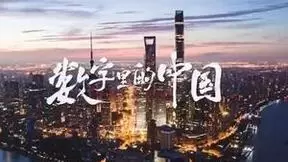 发挥数据要素乘数效应，探索乡村振兴“数据动能”