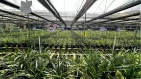 4小时“带货”10吨大米！广东工会创新消费帮扶模式持续助力“百千万工程”