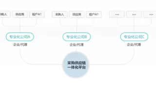 大型集团企业采购 如何破解“分级分权”管理难题