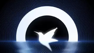 迅雷云盘华为HarmonyOS NEXT版全端上线，给你鸿蒙新体验！