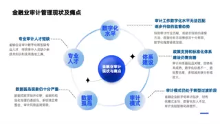 智慧审计：数智技术驱动创新，AI知识平台赋能审计转型