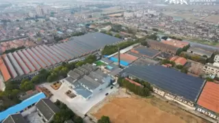 从纱线到阳光：TEESS携手百年实业“织”就零碳新范式