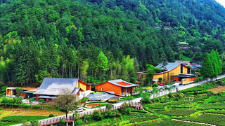 中国高端礼敬茶品牌山峰一号：践行嘱托，致敬“物华天宝”的盛赞