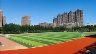 校园运动场人造草坪优先选用免填充推荐与分析