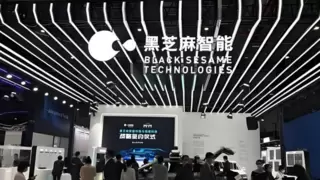 车展时刻｜Arm 携手黑芝麻智能构建智能出行新未来