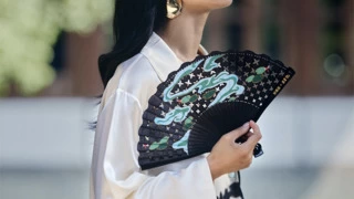 一柄小扇，竟是百年，野兽派携手百年扇庄王星记发布夏日限定