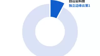 中国边缘公有云市场独立边缘云份额，白山云第一！