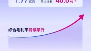 优刻得2025上半年业绩快报：营收利润双增长