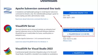 VisualSVN+贝锐花生壳：无需公网IP，远程访问SVN免费解决方案