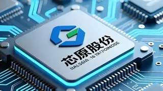 芯原NPU IP VIP9000NanoOi-FS获ISO 26262 ASIL B认证