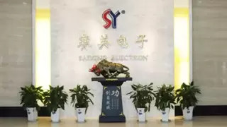 赛英电子IPO即将上会：功率半导体领域的领航者，乘势而上开启新篇章
