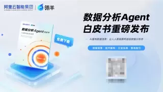 瓴羊重磅发布：2025数据分析Agent白皮书