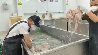 退伍不褪色：赵良波从军营到市场的守护