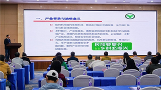 聚焦热带农业发展新路径 首届全球品牌化与数字资产化高峰论坛海口举办