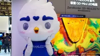 AWE2026观察：当行业奔向“云端”，雷鸟选择“向下扎根” 复制