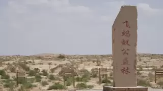 一单旧衣一株苗！飞蚂蚁公益林行动火热进行中，助力民勤沙退绿进