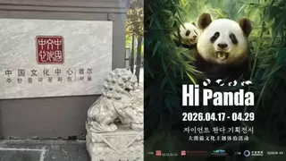 《熊猫的世界》首尔展出：数字赋能文化出海，中韩共赴一场跨越时空的文明对话