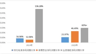 储能洗牌期：从“卖铲子”到“挖金矿”，谁在构建真正的资产壁垒？