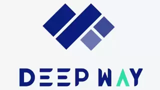收入39.6亿翻倍增长、毛利跃升，DeepWay深向驶入高质量增长快车道