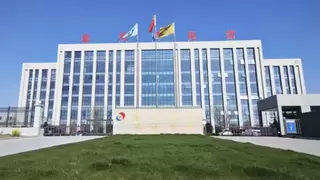 金鸿电缆：国内市占率提升至19.06%，行业优势持续增强