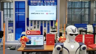 点猫科技与宇树科技首度联袂亮相世数会 共推具身智能教育解决方案引关注