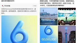 鸿蒙6终端设备数突破6000万！华为何刚：今年有望突破1亿目标