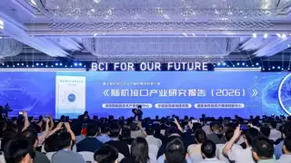 38亿资本涌入脑机接口，背后谁在打造“手和脚”