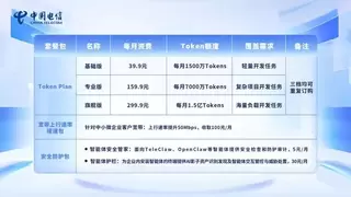 聚多元生态、拓场景应用，天翼云深化一站式Token服务！