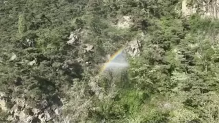 硬核黑科技一战成名！卓翼智能ZMD200大载重无人机森林灭火实测告捷！