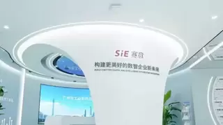 赛意信息携手华为亮相巴黎制造峰会，海外业务收入激增149%成新增长极
