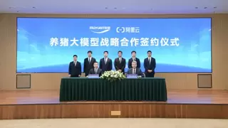牧原携手阿里云共建养猪大模型 AI赋能传统产业升级