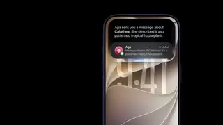 Siri AI在欧盟推出受阻，苹果极为恼火
