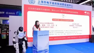 AI技术赋能消费产业创新 京东十二姬打造数字人应用新样板