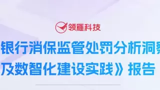 领雁科技以“全渠道+强中台+厚底座”重构银行对公渠道能力体系