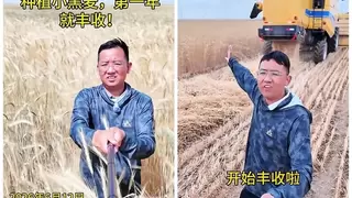 以科技护科研，阿玛迪斯助力沙漠小黑麦科研团队