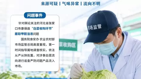 甲醛白菜事件引发食安检测刚需 冠宇仪器以科技筑牢流通第一道关口