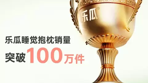 乐瓜睡觉抱枕销量破百万：细分赛道激活千亿级睡眠经济新动能